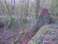 Munitionsbunker / Lagerbunker 6, ehemaliges Munitionsdepot S&uuml;d, Bordumer Busch West